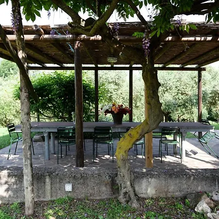 Agriturismo Terre Bianche Teolo