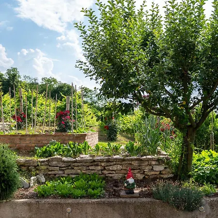 Agriturismo Terre Bianche Apartment