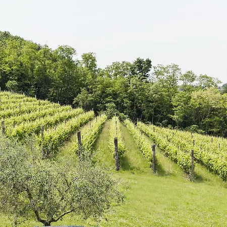 Agriturismo Terre Bianche * Teolo