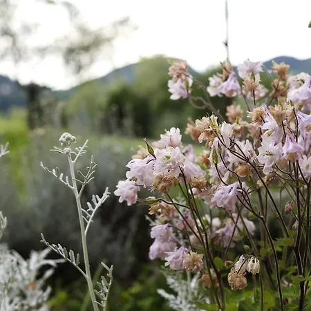 Terre Bianche * Teolo