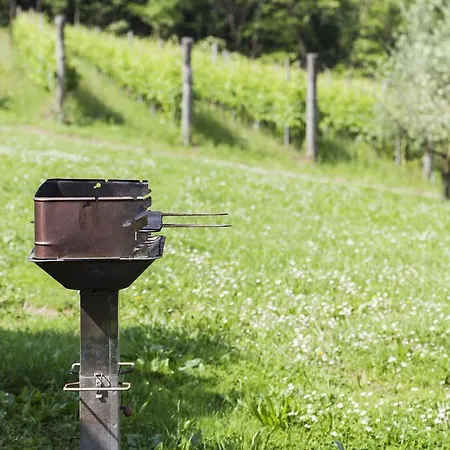 Terre Bianche Teolo